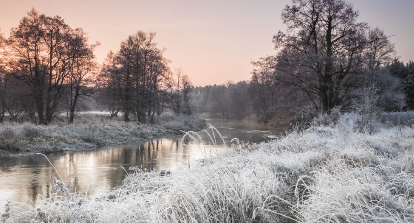 Płońszczak NA DOBRY DZIEŃ - 27.11.2020