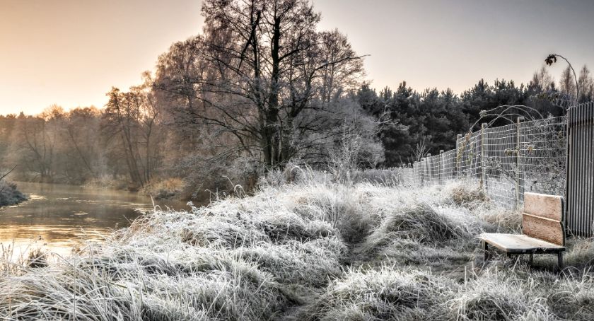 Płońszczak NA DOBRY DZIEŃ - 8.12.2020