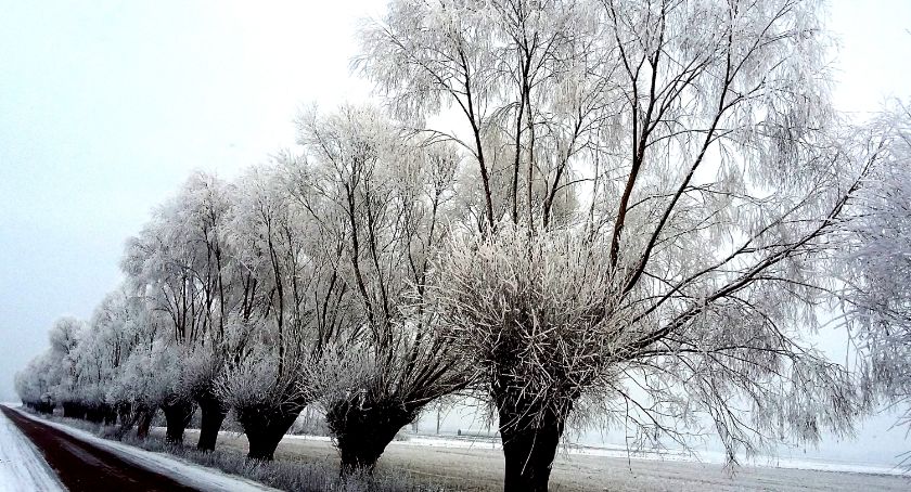 Płońszczak NA DOBRY DZIEŃ - 22.12.2020