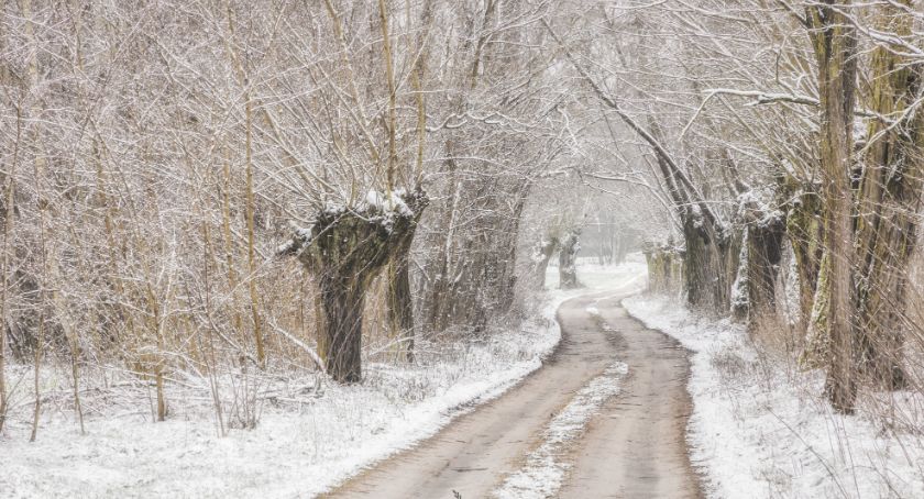 Płońszczak NA DOBRY DZIEŃ - 13.01.2021
