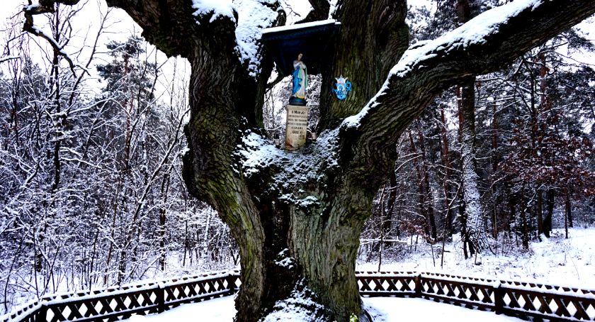 Płońszczak NA DOBRY DZIEŃ - 17.01.2021