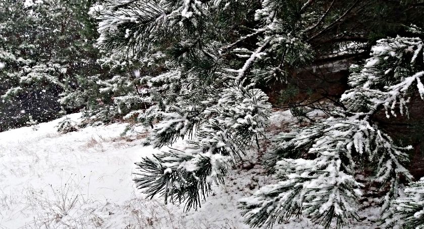 Płońszczak NA DOBRY DZIEŃ - 26.01.2021