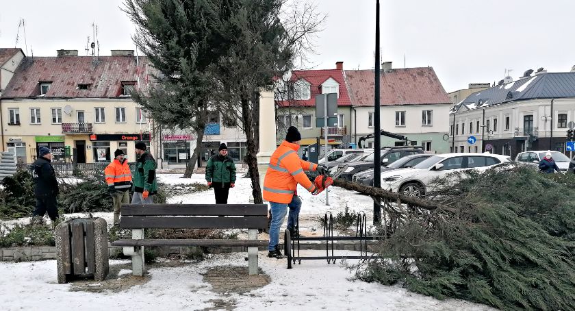 Wycinka drzew początkiem rewitalizacji płońskiego rynku