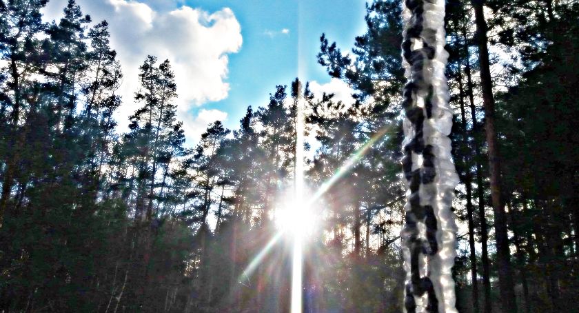 Płońszczak NA DOBRY DZIEŃ - 18.02.2021