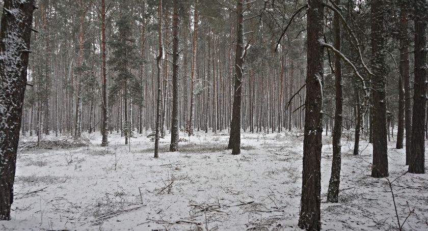 Płońszczak NA DOBRY DZIEŃ - 12.03.2021