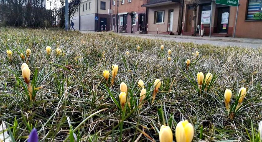 Płońszczak NA DOBRY DZIEŃ - 18.03.2021