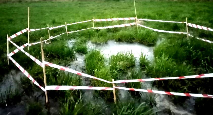 Płońszczak NA DOBRY DZIEŃ - 6.05.2021