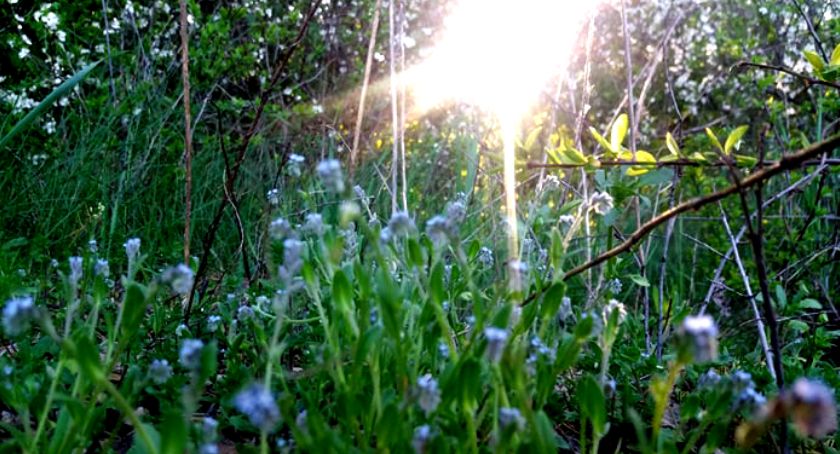 Płońszczak NA DOBRY DZIEŃ - 15.05.2021