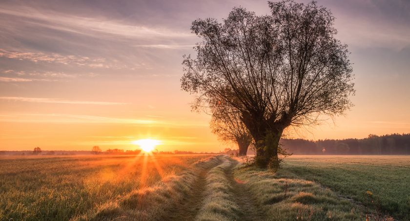 Płońszczak NA DOBRY DZIEŃ - 19.05.2021