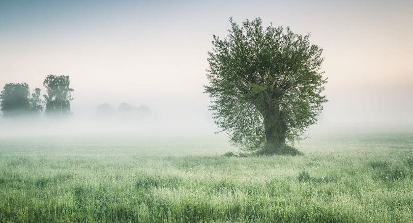 Płońszczak NA DOBRY DZIEŃ - 22.05.2021