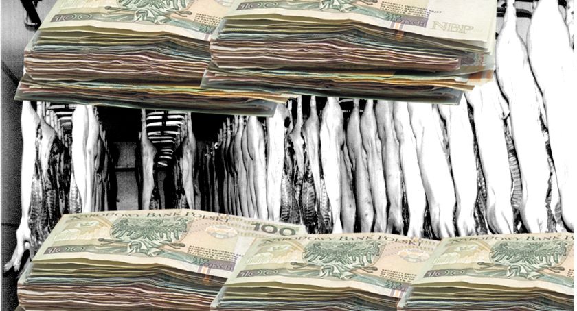 Rolnicy stracili 7 milionów złotych - prokuratorskie zarzuty dla prezesa ubojni z Czerwińska
