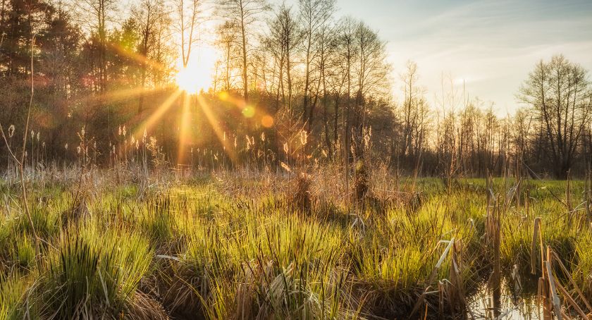 Płońszczak NA DOBRY DZIEŃ - 2.06.2021