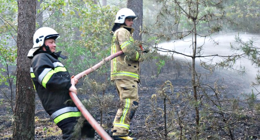 Strażackie dni w pigułce
