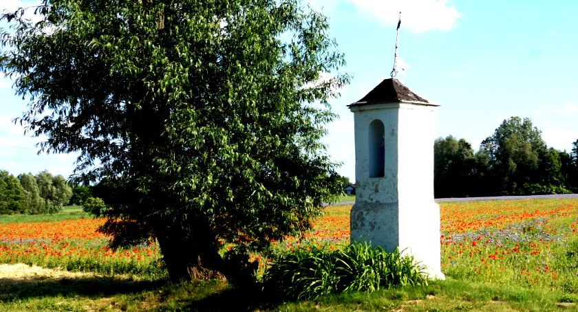 Płońszczak NA DOBRY DZIEŃ - 13.06.2021
