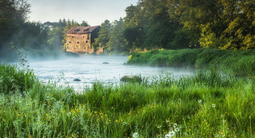 Płońszczak NA DOBRY DZIEŃ - 19.06.2021