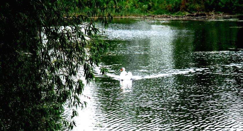 To już w ten weekend - park w Kroczewie miejscem dwudniowego święta gminy Załuski