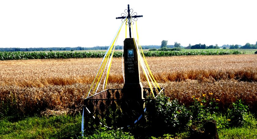 Płońszczak NA DOBRY DZIEŃ - 8.08.2021