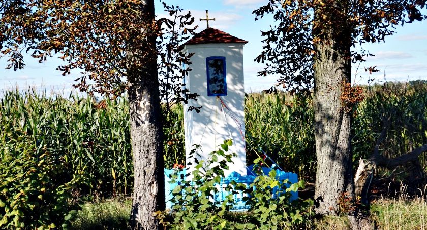 Płońszczak NA DOBRY DZIEŃ - 26.09.2021