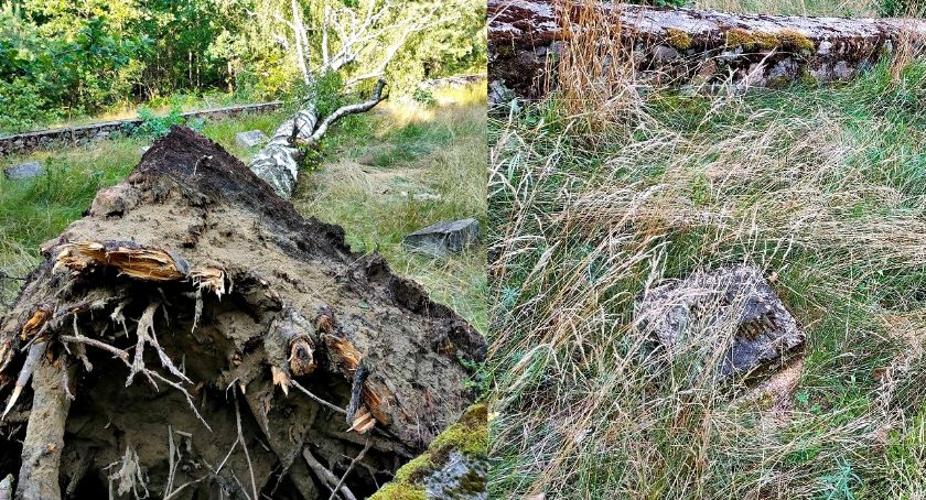 Płońszczak NA DOBRY DZIEŃ - 29.09.2021