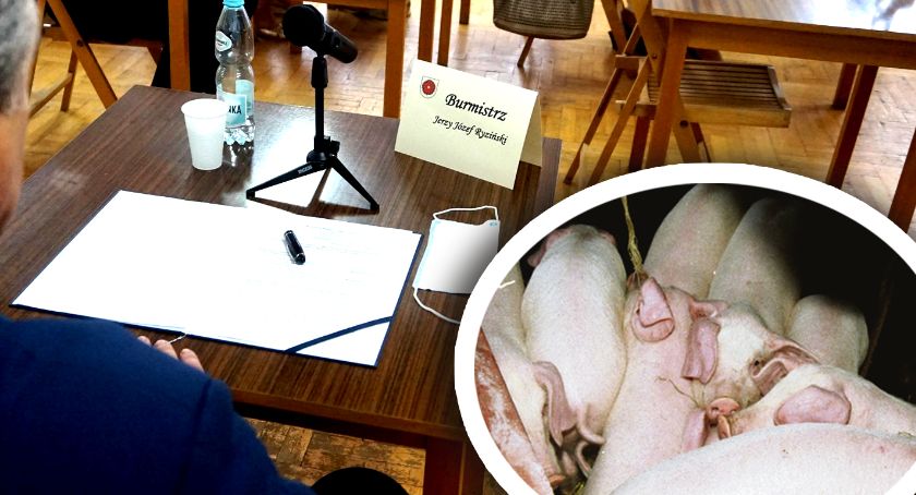 Sprawa chlewni w Żelechach - urząd odmówił wydania decyzji środowiskowej