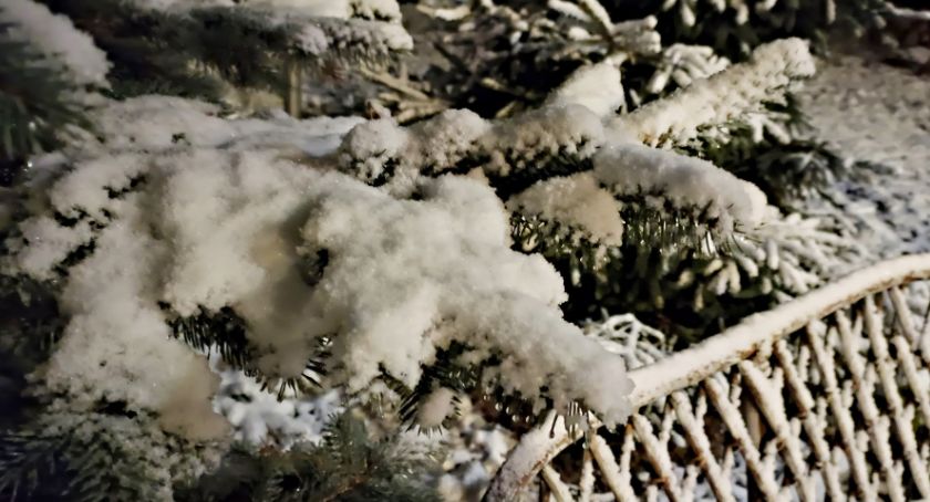 Płońszczak NA DOBRY DZIEŃ - 27.11.2021