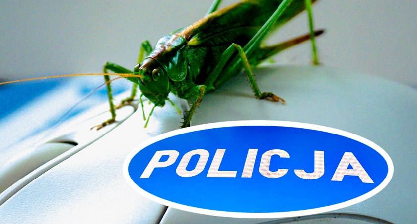 Policja ostrzega - nie klikaj w podejrzane linki, bo możesz stracić pieniądze!