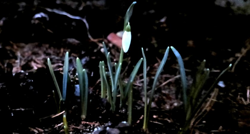 Płońszczak NA DOBRY DZIEŃ - 9.02.2022