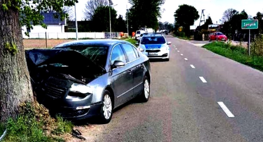 Volkswagenem w drzewo