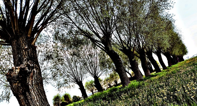 Płońszczak NA DOBRY DZIEŃ - 13.05.2022