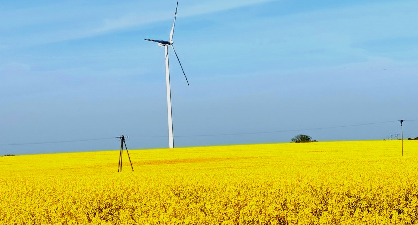 Płońszczak NA DOBRY DZIEŃ - 12.05.2022