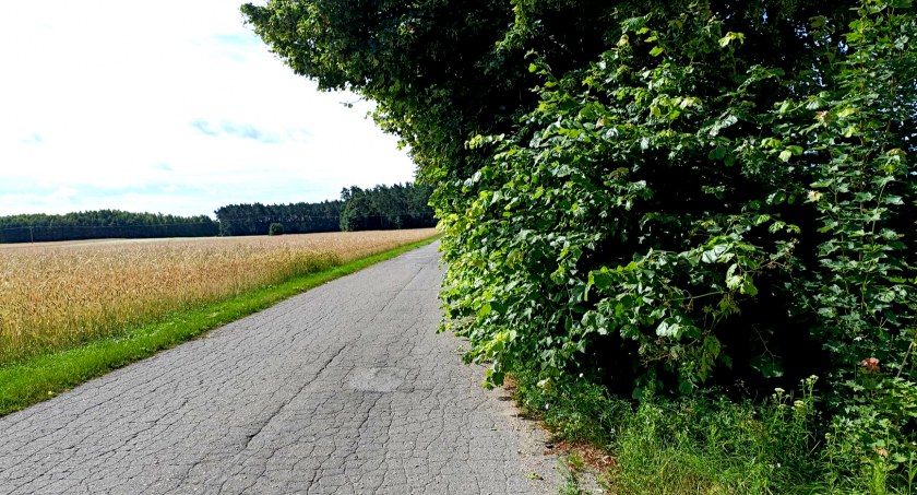 Płońszczak NA DOBRY DZIEŃ - 8.07.2022