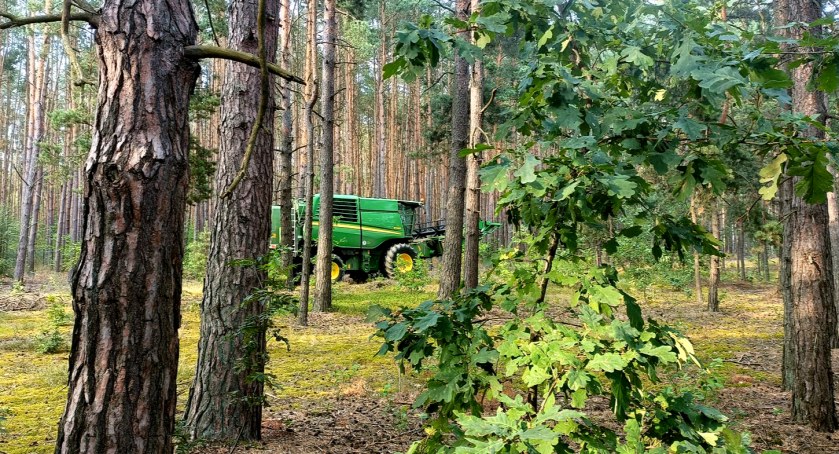 Płońszczak NA DOBRY DZIEŃ - 16.08.2022