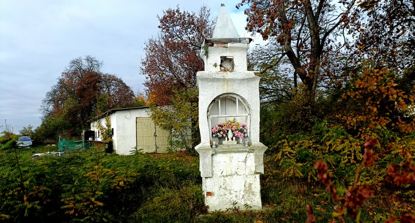 Płońszczak NA DOBRY DZIEŃ - 23.10.2022
