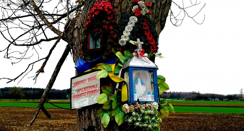 Płońszczak NA DOBRY DZIEŃ - 20.11.2022