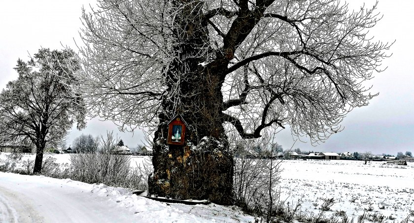 Płońszczak NA DOBRY DZIEŃ - 18.12.2022