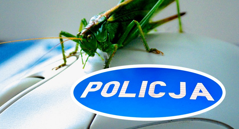 Kolejne przypadki oszustw internetowych - dwie kobiety straciły pieniądze