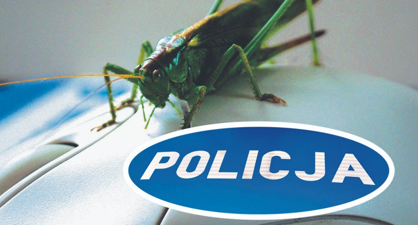 Chciał sprzedać buty, stracił 5 tysięcy