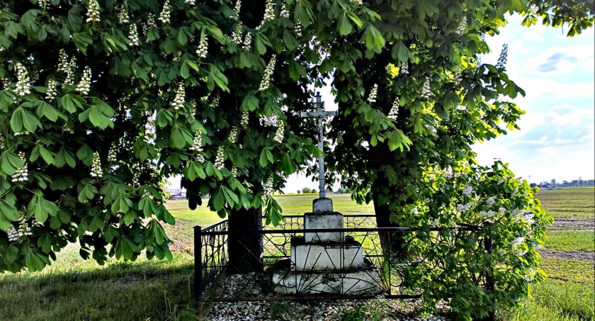 Płońszczak NA DOBRY DZIEŃ - 14.05.2023