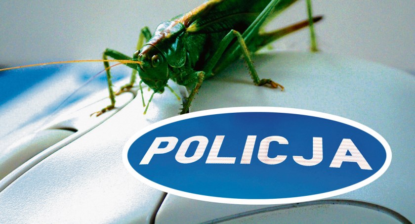 Kolejne osoby dały się złowić w sieci oszustom