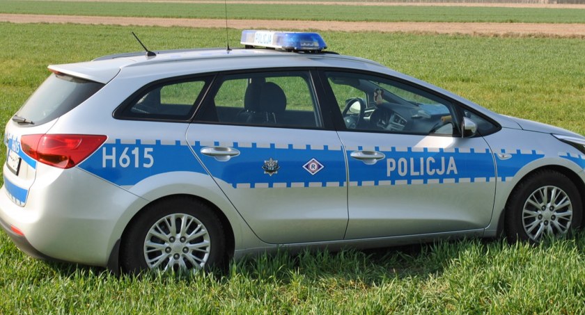 Przed policją... uciekł w kukurydzę