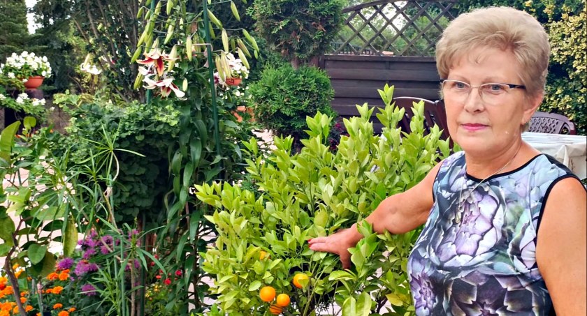 Tytuł za najpiękniejszy ogród w mieście i gminie Sochocin dla Bożeny Rajca z Bolęcina
