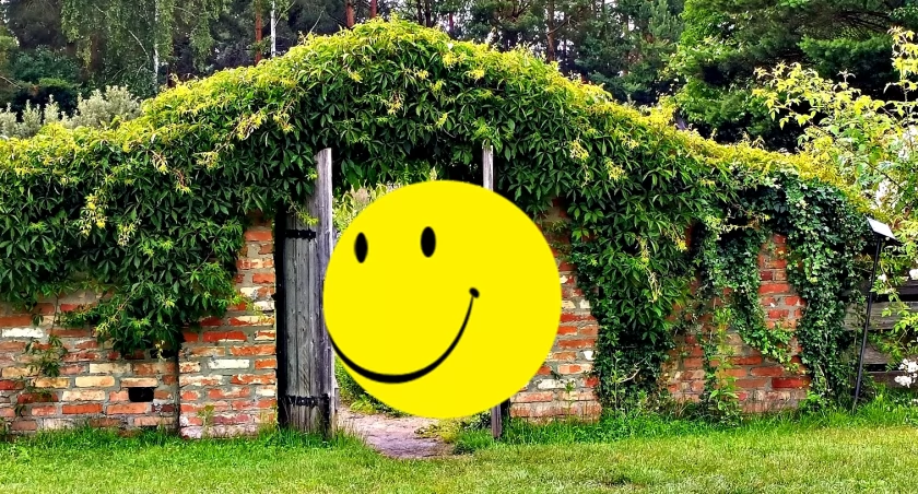 Płońszczak NA DOBRY DZIEŃ - 6.10.2023