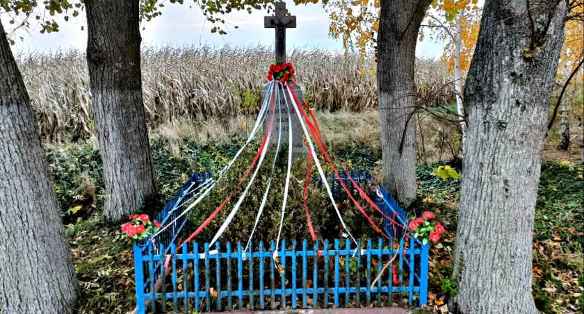 Płońszczak NA DOBRY DZIEŃ - 12.11.2023