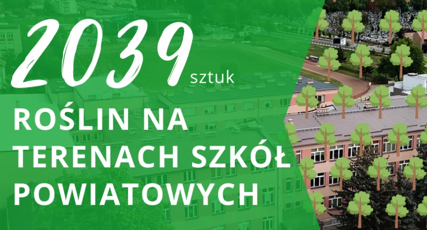 Będzie bardziej zielono przy trzech szkołach powiatowych 