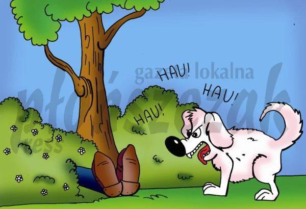 Magiczna powieść  odcinek 20