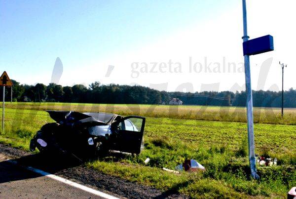 Uderzyła w słup