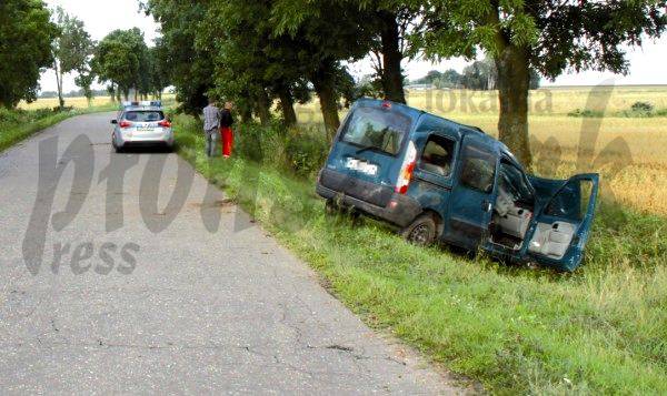 Kangoo w drzewo
