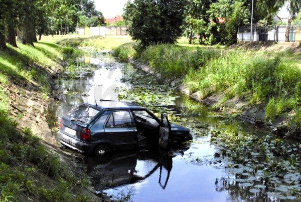 Skoda w Płonce
