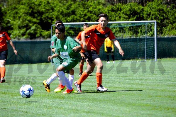 Drużyny rocznika 2004 w BoniFaCio Cup