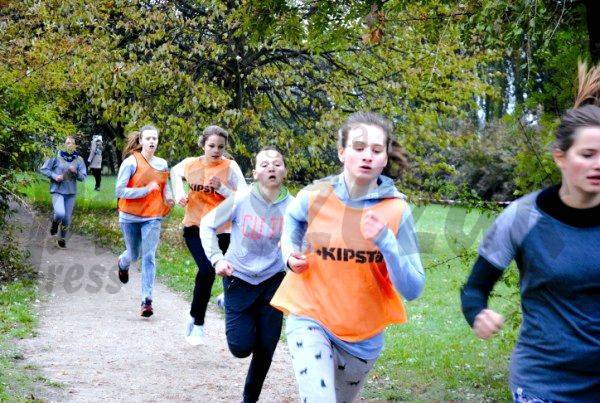 Mistrzostwa powiatu i Płońska w biegach przełajowych